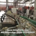 Tin can capping and sealing machine